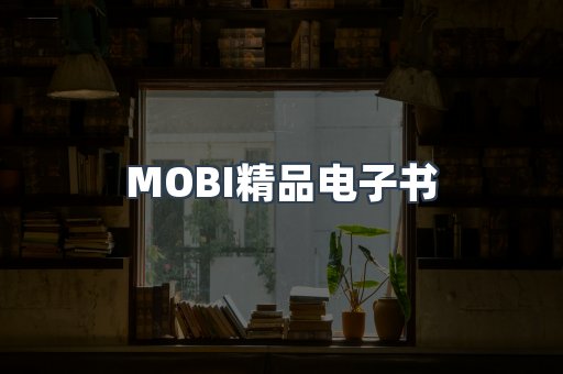 PDF电子书系列